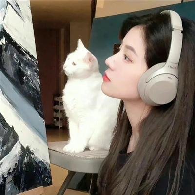 精选·锦衣证人·前传