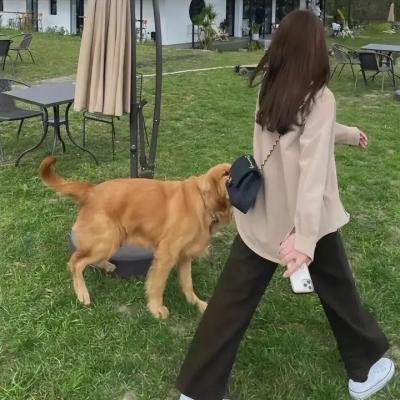 青瓷押运特别篇